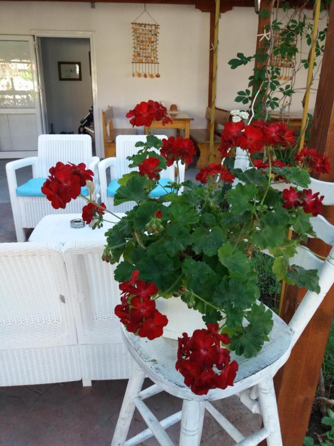 Alba Family Club Hotel Primorsko Eksteriør bilde