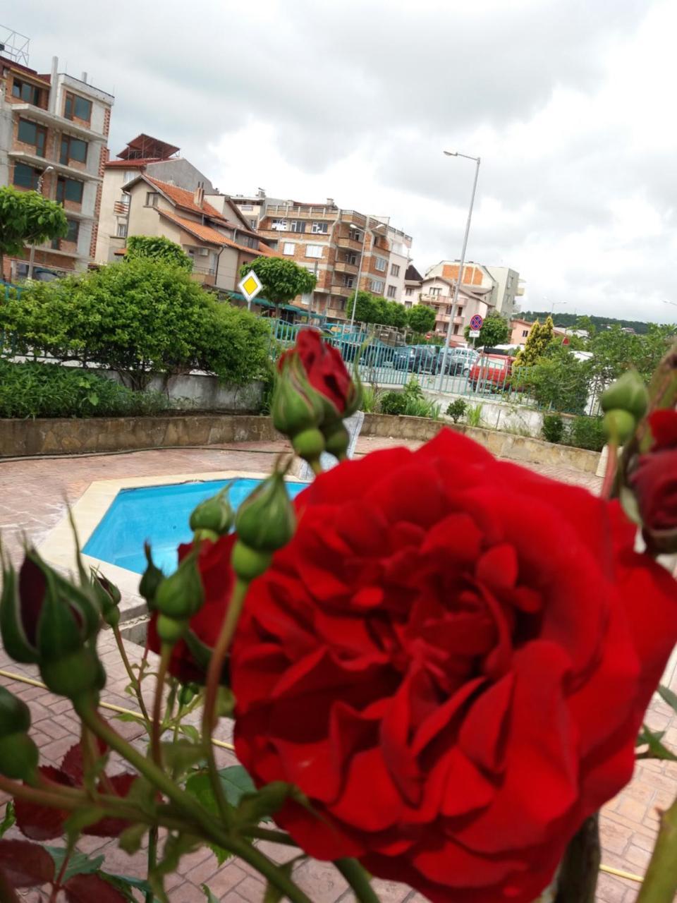 Alba Family Club Hotel Primorsko Eksteriør bilde