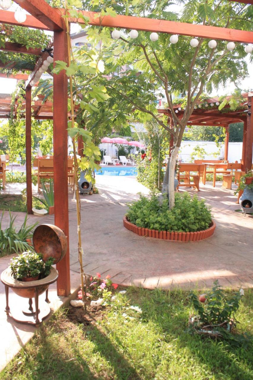 Alba Family Club Hotel Primorsko Eksteriør bilde