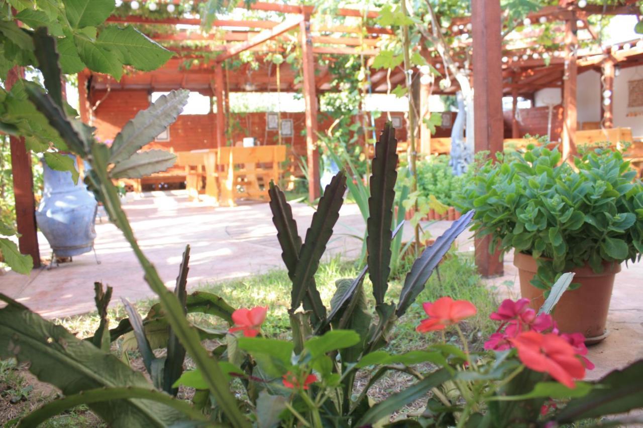 Alba Family Club Hotel Primorsko Eksteriør bilde