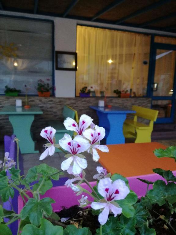 Alba Family Club Hotel Primorsko Eksteriør bilde